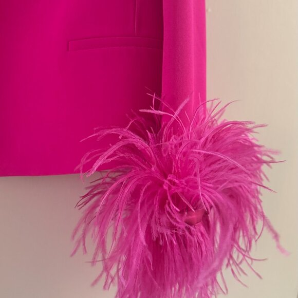 NWT Zara Cropped Pink Feather Blazer - Picture 6 of 6